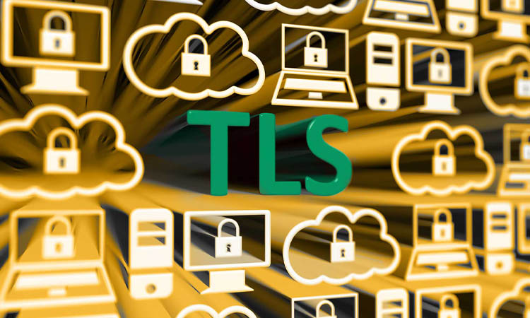 پروتکل TLS چیست و چرا برای امنیت ضروری است؟